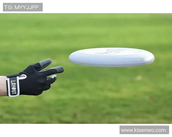 飞盘盛宴：深入解析杭州飞盘队的实力与发展潜力