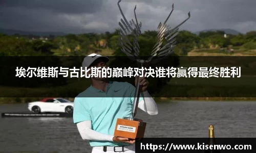 埃尔维斯与古比斯的巅峰对决谁将赢得最终胜利